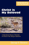 "Christ is My beloved" by George E. Stevens